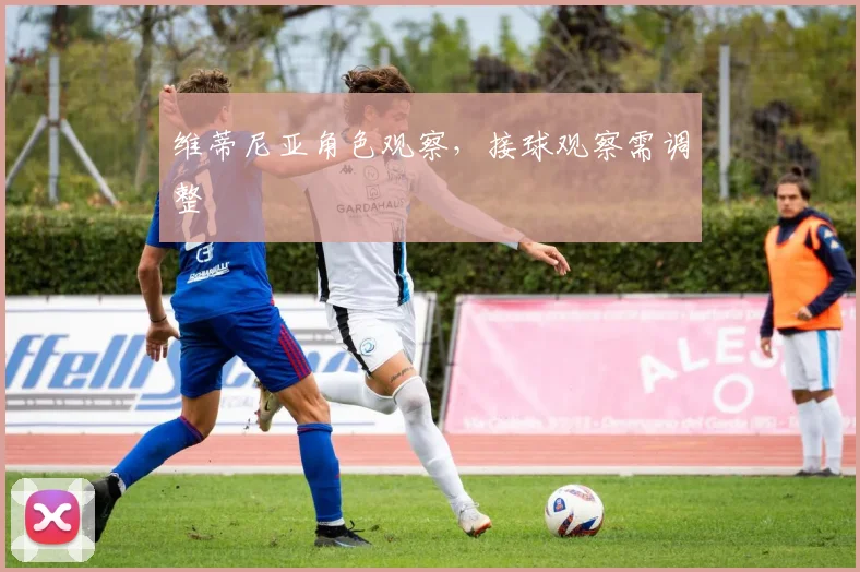 维蒂尼亚角色观察,接球观察需调整
