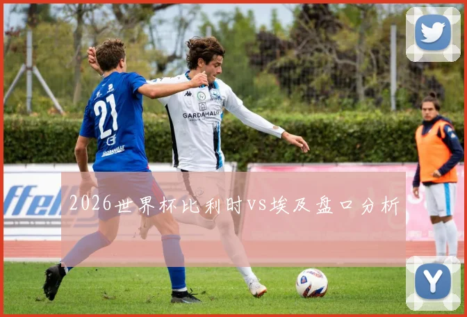 2026世界杯比利时vs埃及盘口分析