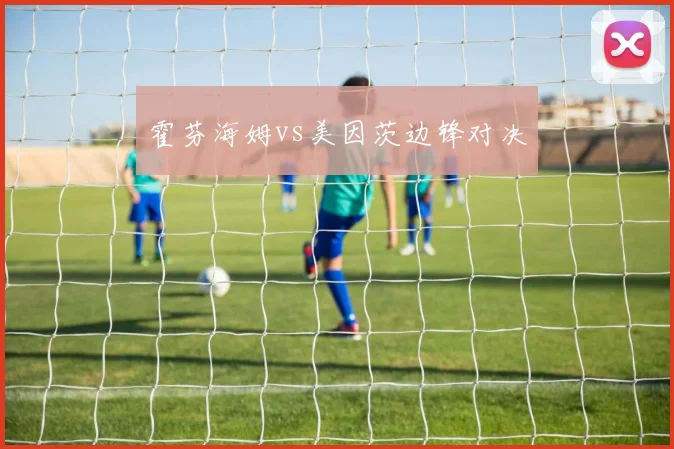 霍芬海姆vs美因茨边锋对决